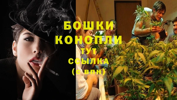 прущий лед Арсеньев