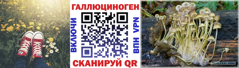 Галлюциногенные грибы Cubensis Уржум