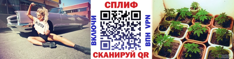 дарнет шоп  Уржум  omg как войти  Марихуана сатива 